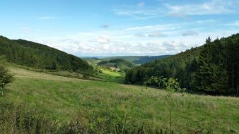 green meadows in germany