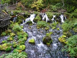photo of river in Japan