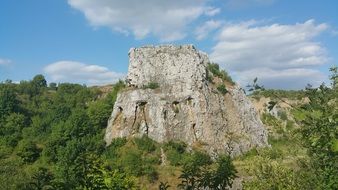 Kadzielnia Tourism Tree