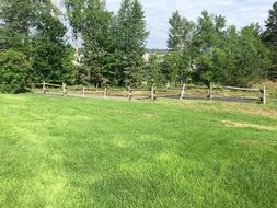 meadow near a wooden fence under the bright sun