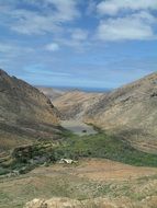 spring on Fuerteventura