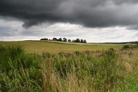 cloudy highlands and islands