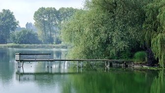 Boardwalk on a river