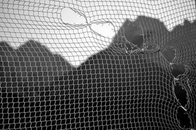 view through the net to the mountains