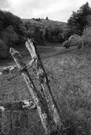 countryside in black and white image