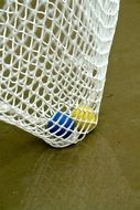 mini golf balls in the net