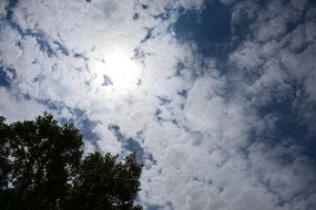 Sky Clouds Sun Tree Plant