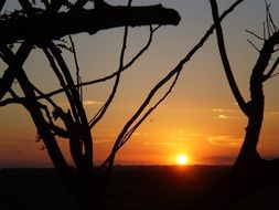 golden sun at sunset over the farm