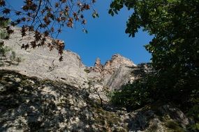 view of the rock from behind the trees
