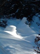 Landscape Picture of Snowy forest