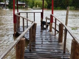 Landscape of wooden pier on Spring River