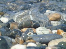 little pebbles in the water