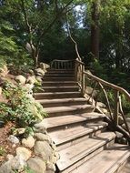 Stairs Wilderness