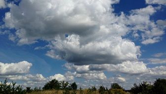 clouds above the forest