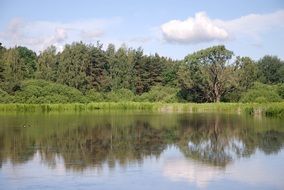 summer among nature in southern bohemia