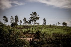 Nature Landscape Horizon