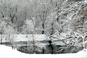Snow Lake Nature