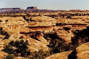 Landscape Canyon Lands