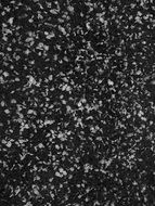 green Bush black and white photo
