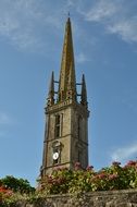 church tower and hydrangea bushes