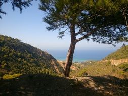 scenic mountains and blue sea