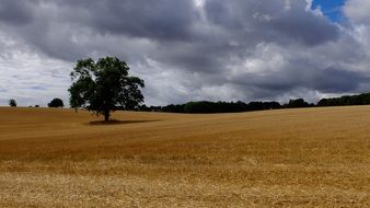 Sky Countryside Summer