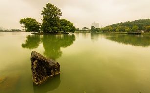 stone in a lake with green water