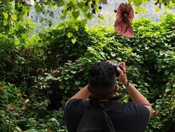 picturesque and pretty Botany