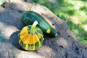 closeup view of decorative pumpkins on the stone