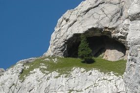 Tree Mountain Rock Landscape