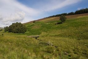 green hills in highlands and islands