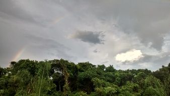 gray sky over a forest in brazil