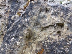 closeup of a rock