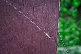 spider web on wooden surface close-up