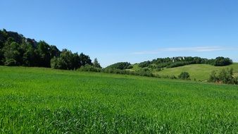 boundless green fields in poland, jerzmanowice