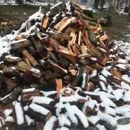 chopped firewood in the snow