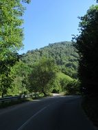 Road at Apuseni Mountains at summer, romania, transylvania, crisana