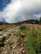 Tatry Mountains, Poland