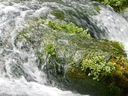 Water on a stone in the moss on a sunny day