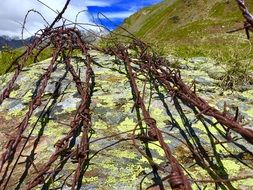 Barbed Wire First War Mountain