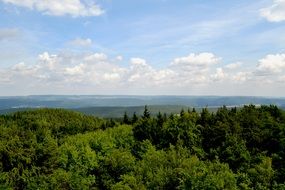 panoramic view of a green forest in the mountains