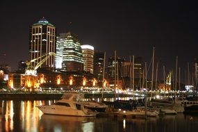 panoramic view of Puerto Madero port at night