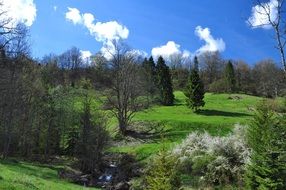 extraordinary Water Meadow