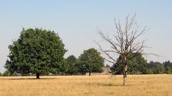 lüneburg heath cycling