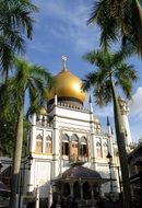 Mosque Asia Landscape