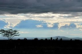 Africa Landscape