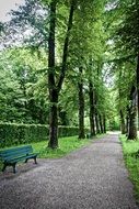 perspective view of a park alley