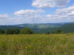 panorama of a green meadow in the Czech Republic