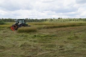 tractor mows grass in heathland