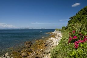 beautiful coastline